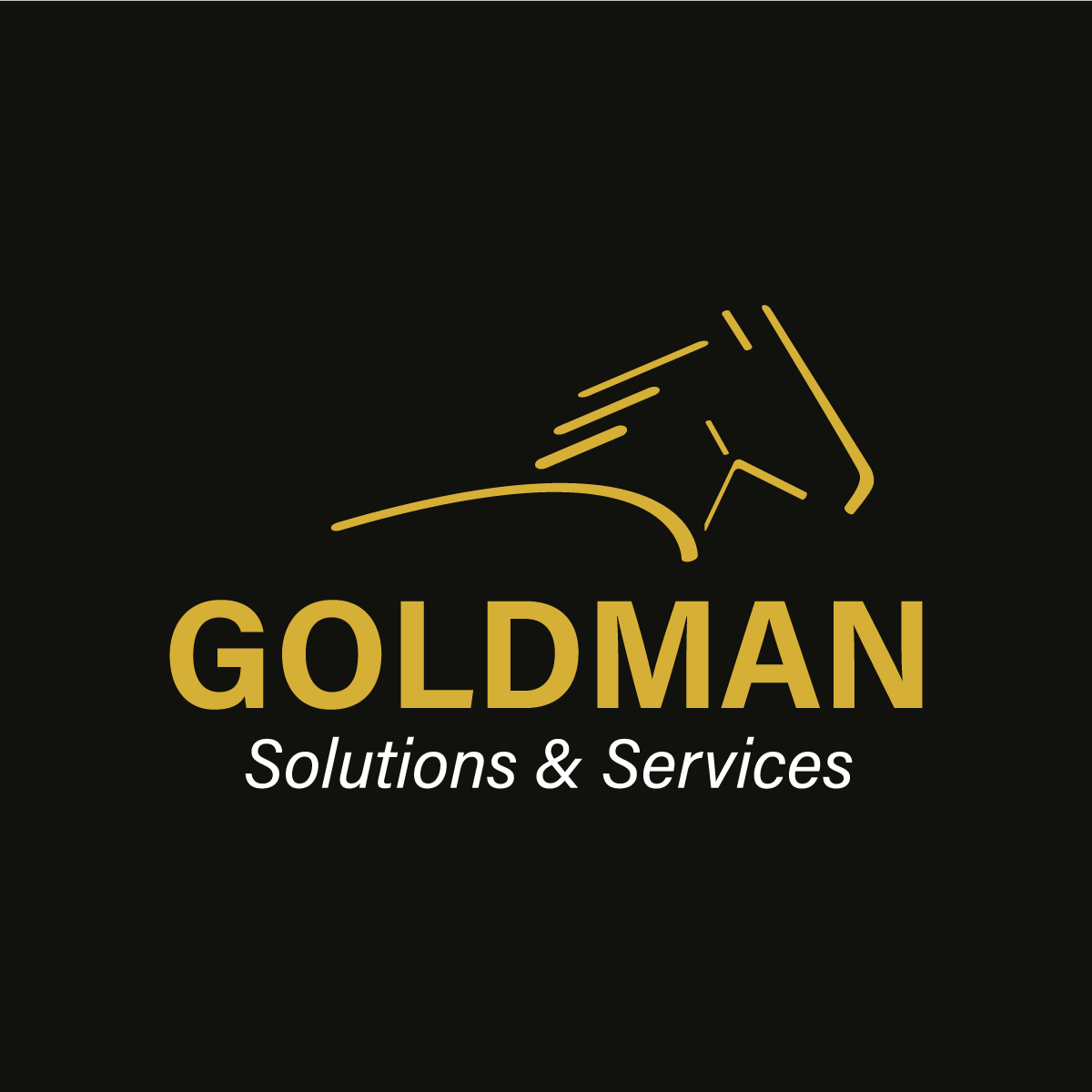 Goldman Solutions 