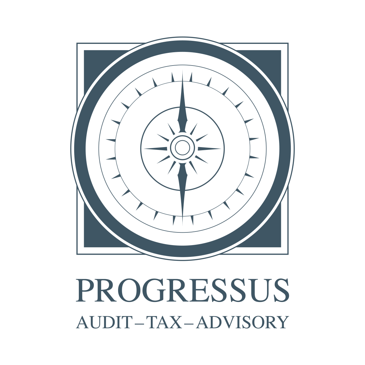 PGR Progressus Audit Ltd