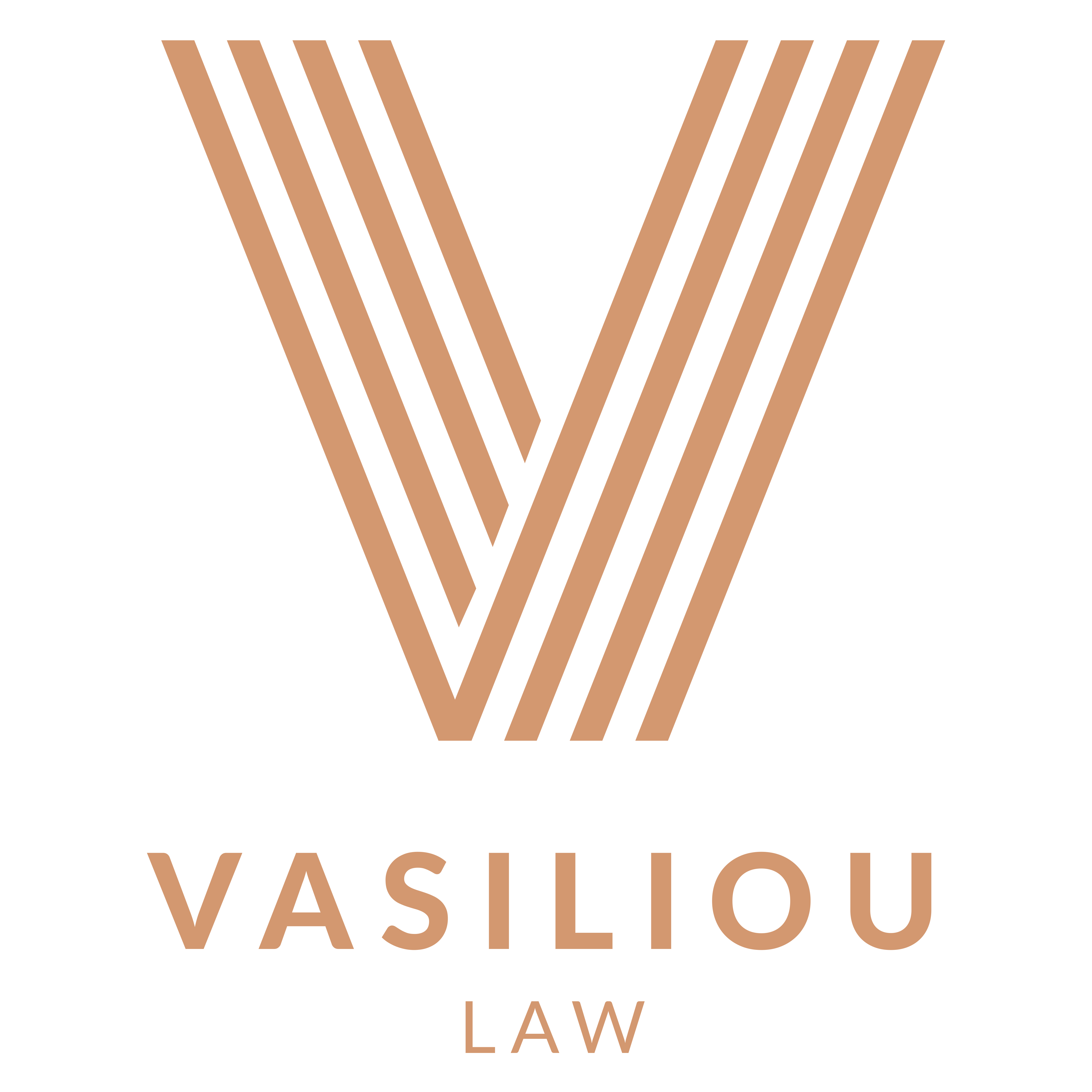 Y.Vasiliou & Co LLC