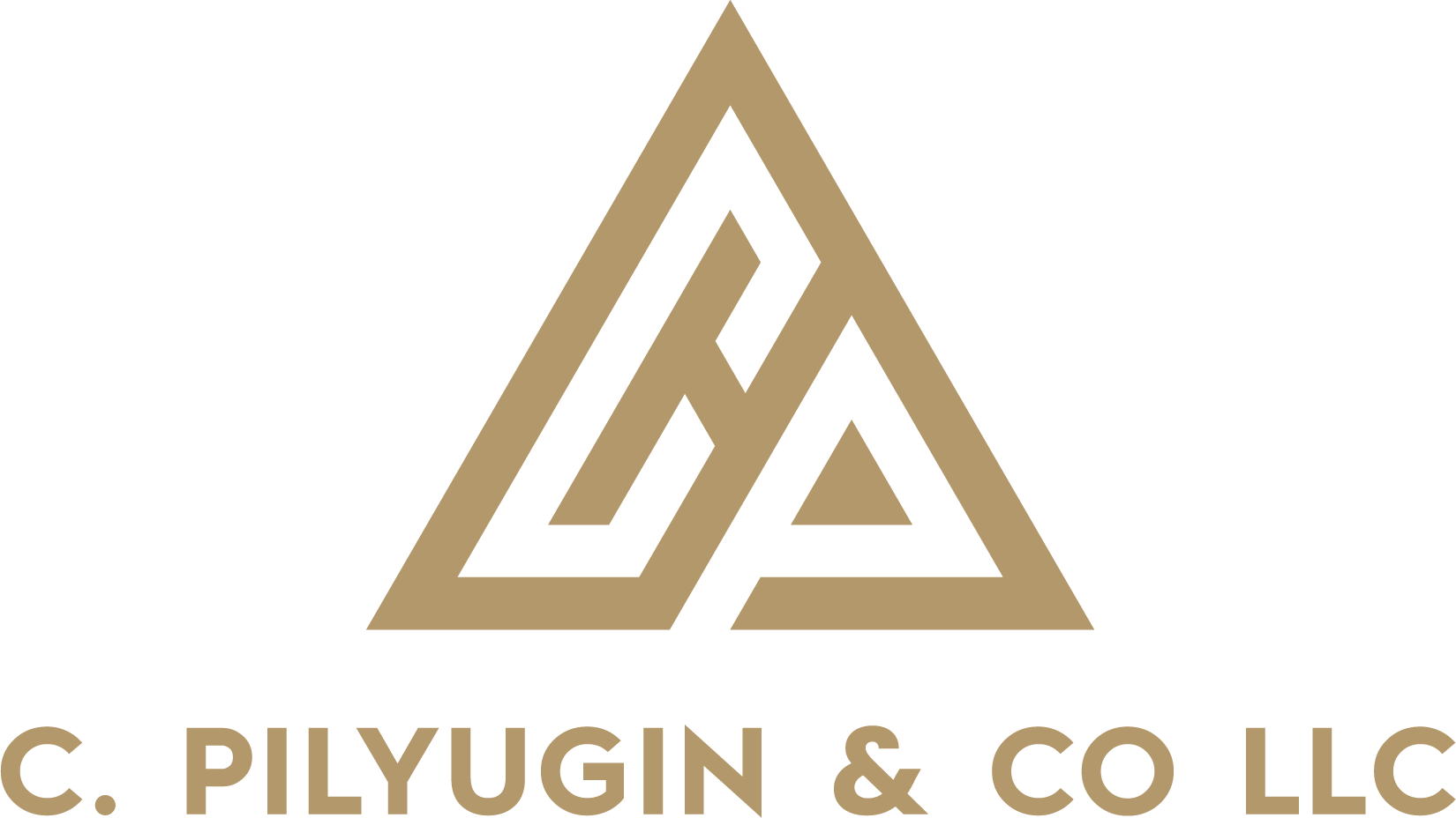 C. Pilyugin & Co LLC